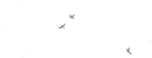 The Grange On Hermitage